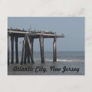 Atlantic City Beach with Birds Postcard
