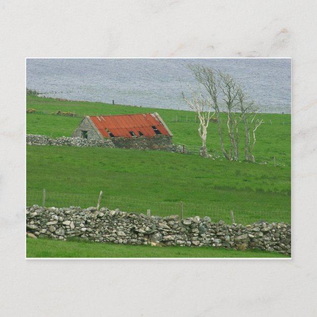 Atlantic Coast Pasture, Ireland Postcard (Front)