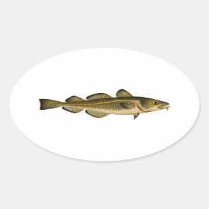 Atlantic Cod Oval Sticker