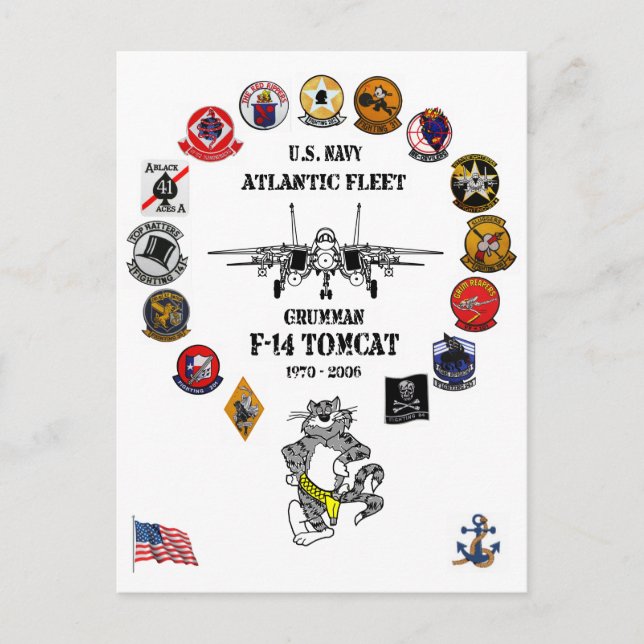 ATLANTIC FLEET - F-14 TOMCAT SQ. POSTCARD (Front)