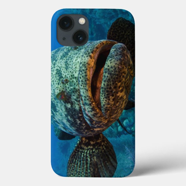 Atlantic Goliath Grouper Case-Mate iPhone Case (Back)