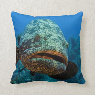 Atlantic Goliath Grouper Cushion