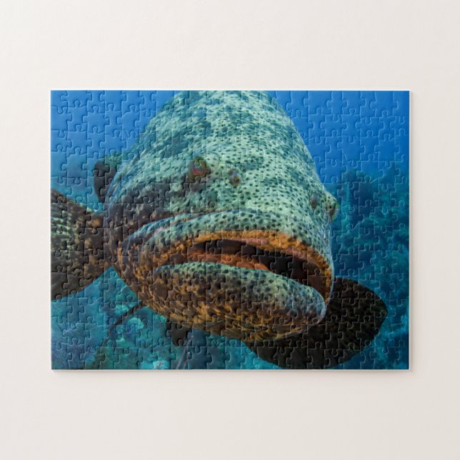 Atlantic Goliath Grouper Jigsaw Puzzle (Horizontal)