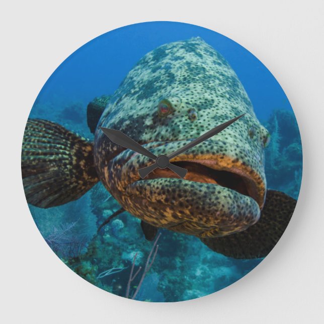 Atlantic Goliath Grouper Large Clock (Front)