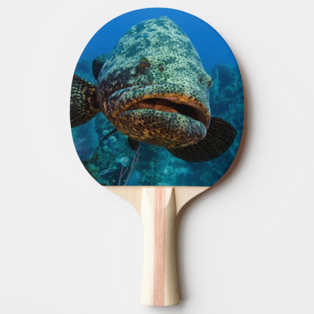 Atlantic Goliath Grouper Ping Pong Paddle (Front)