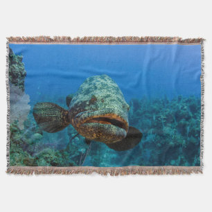 Atlantic Goliath Grouper Throw Blanket