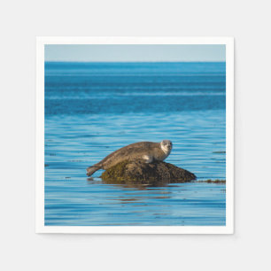 Atlantic Harbor Seal Napkin