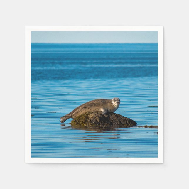Atlantic Harbor Seal Napkin (Front)