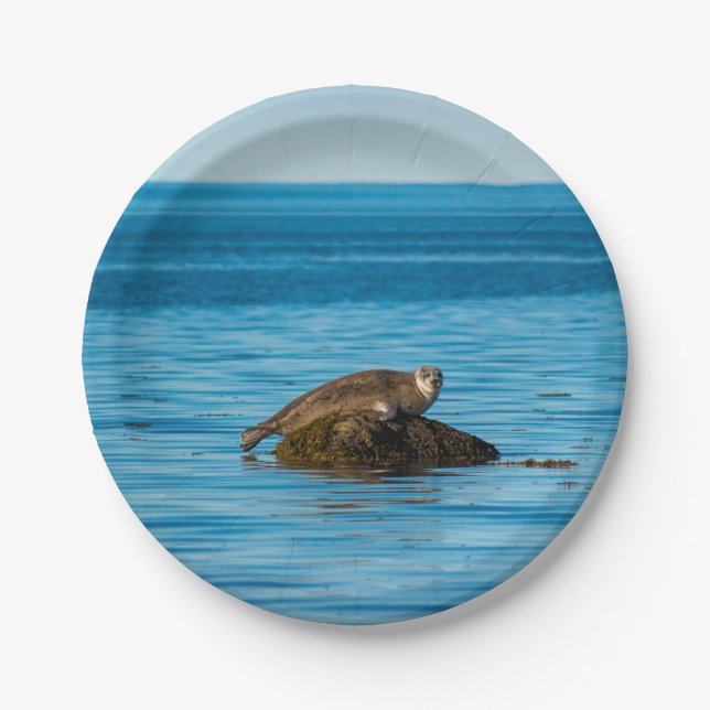 Atlantic Harbor Seal Paper Plate (Front)