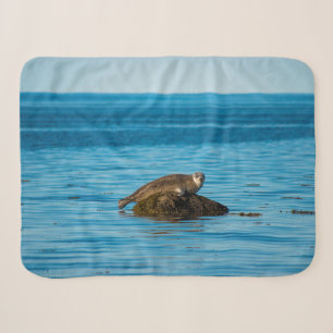 Atlantic Harbor Seal Sherpa Blanket