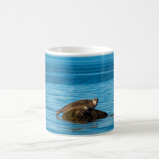 Atlantic Harbour Seal Coffee Mug (Center)