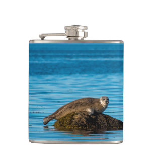 Atlantic Harbour Seal Hip Flask