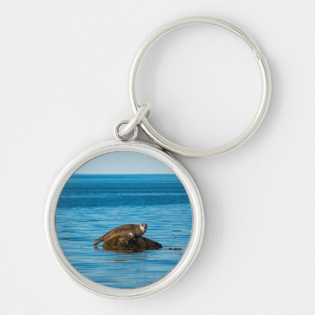 Atlantic Harbour Seal Key Ring (Front)