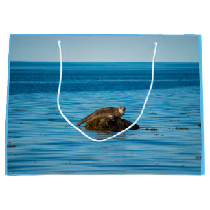Atlantic Harbour Seal Large Gift Bag