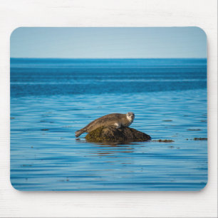 Atlantic Harbour Seal Mouse Pad