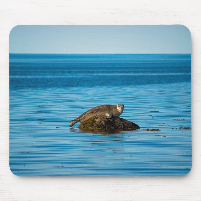 Atlantic Harbour Seal Mouse Pad (Front)