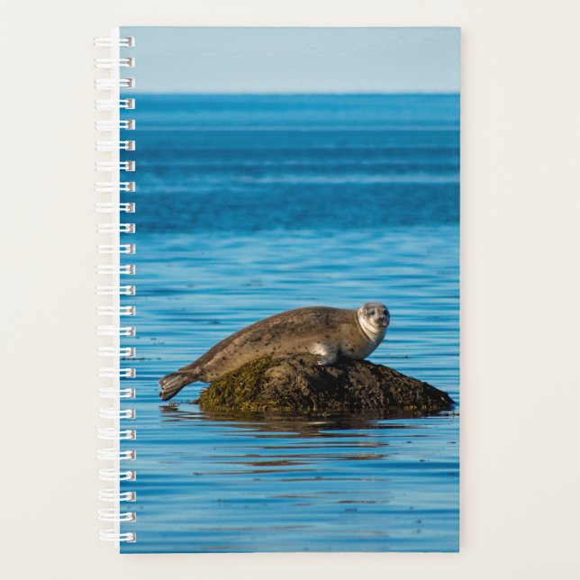 Atlantic Harbour Seal Planner (Front)