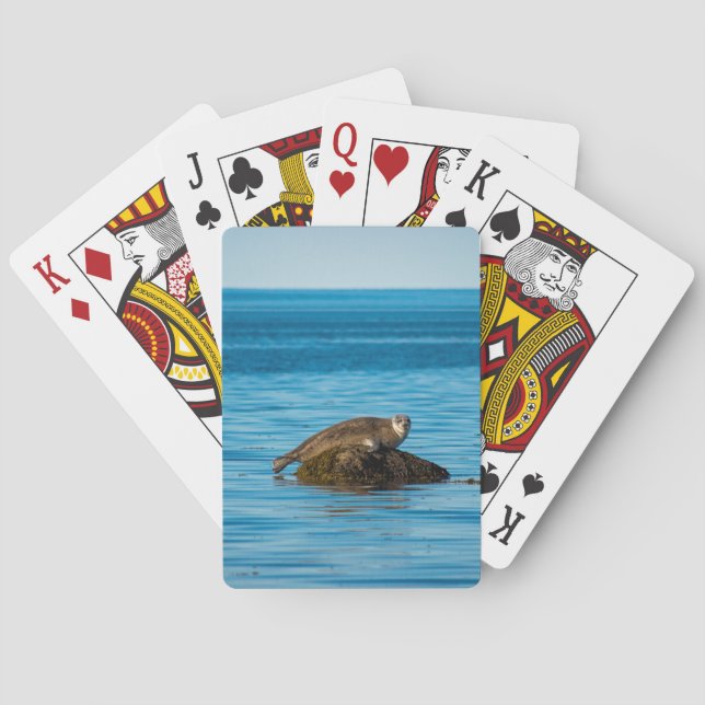 Atlantic Harbour Seal  Playing Cards (Back)