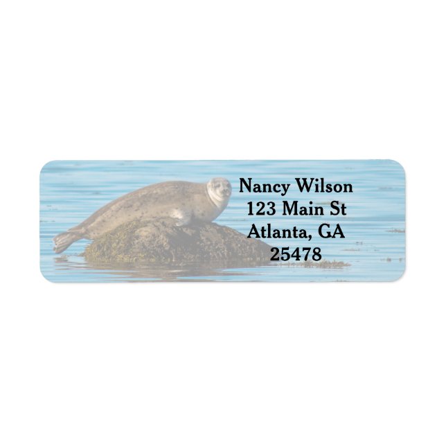 Atlantic Harbour Seal Return Address Label (Front)