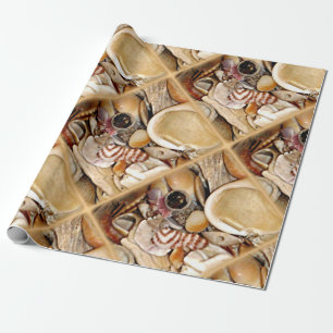 Atlantic Ocean Sea Shells Wrapping Paper