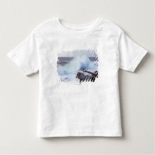 Atlantic Ocean Wave Crashing into Maine's Coast Toddler T-Shirt