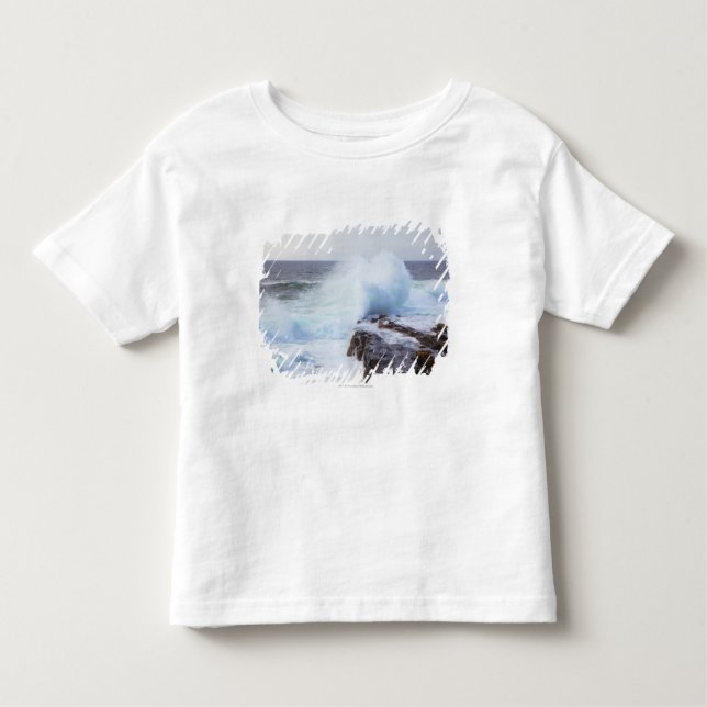 Atlantic Ocean Wave Crashing into Maine's Coast Toddler T-Shirt (Front)