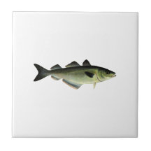 Atlantic Pollock
