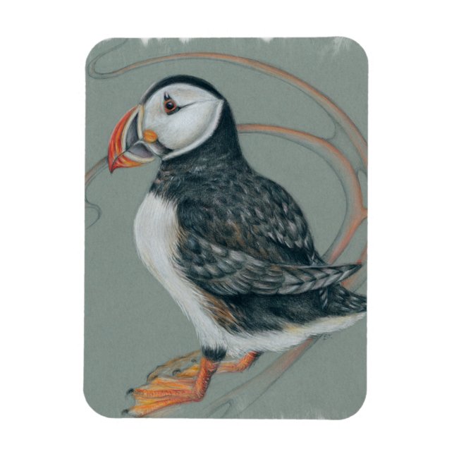 Atlantic Puffin Bird Art Drawing Magnet (Vertical)