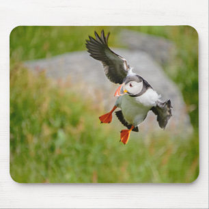 Atlantic Puffin bird flying mousepad