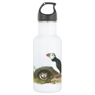 Atlantic Puffin by Audubon 532 Ml Water Bottle