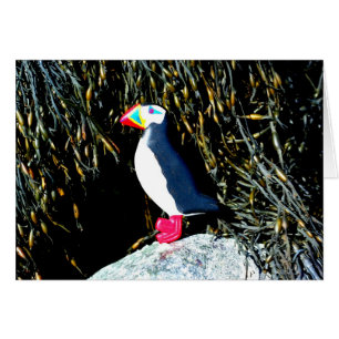 Atlantic puffin card