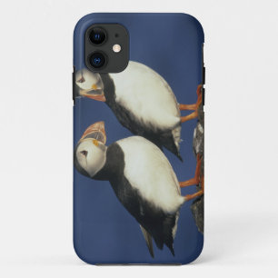 Atlantic Puffin iPhone 11 Case