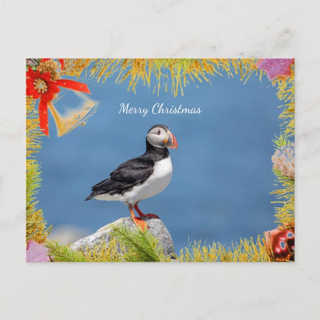 Atlantic Puffin Christmas Card (Front)