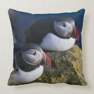 Atlantic Puffin (Fratercula arctica) 7 Cushion