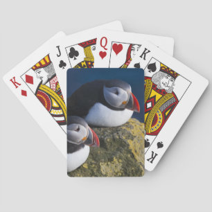 Atlantic Puffin (Fratercula arctica) 7 Playing Cards