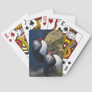 Atlantic Puffin (Fratercula arctica) 7 Playing Cards