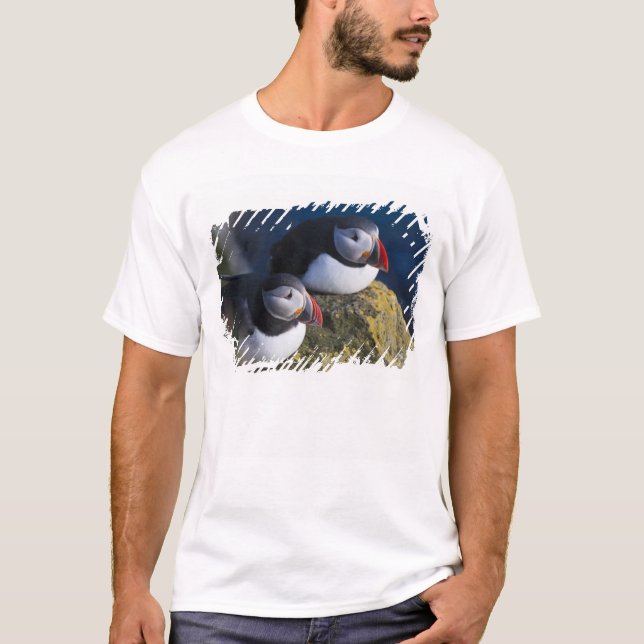 Atlantic Puffin (Fratercula arctica) 7 T-Shirt (Front)