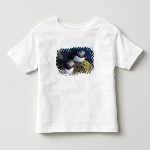 Atlantic Puffin (Fratercula arctica) 7 Toddler T-Shirt