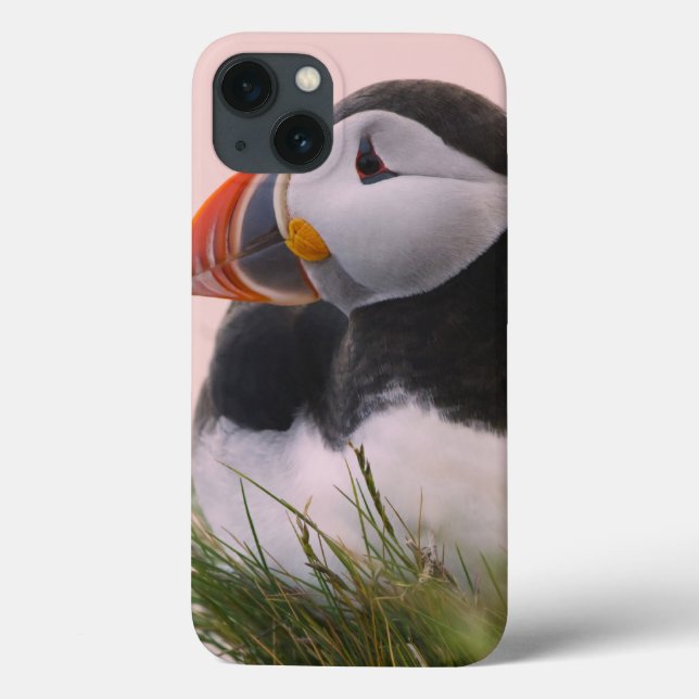 Atlantic Puffin (Fratercula arctica) Case-Mate iPhone Case (Back)