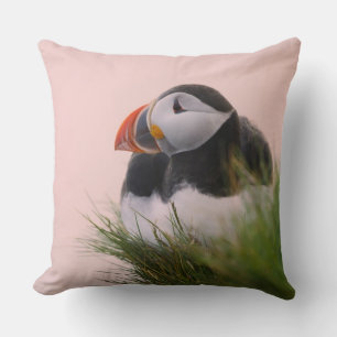 Atlantic Puffin (Fratercula arctica) Cushion