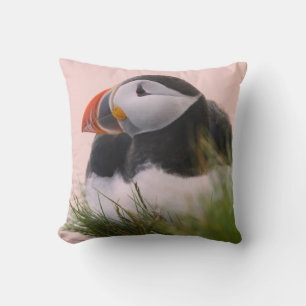 Atlantic Puffin (Fratercula arctica) Cushion