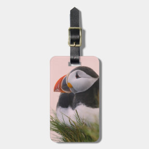 Atlantic Puffin (Fratercula arctica) Luggage Tag