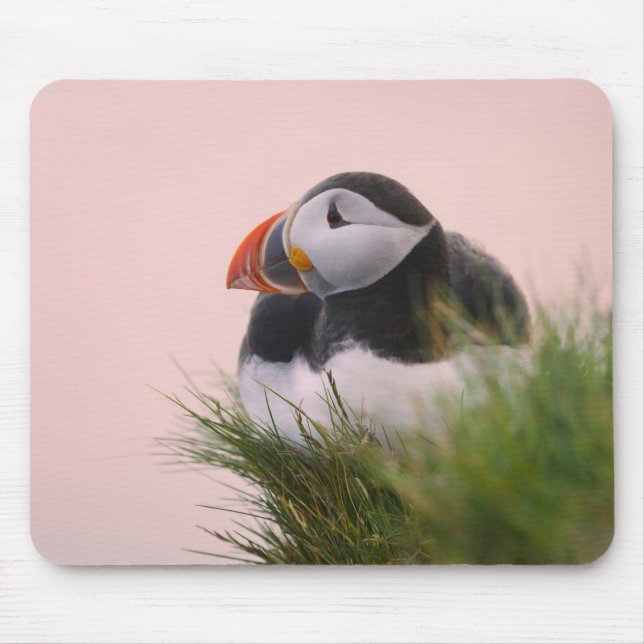 Atlantic Puffin (Fratercula arctica) Mouse Pad (Front)