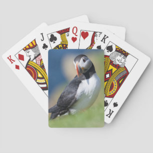 Atlantic Puffin (Fratercula Arctica) On Cliff 2 Playing Cards