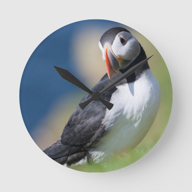 Atlantic Puffin (Fratercula Arctica) On Cliff 2 Round Clock (Front)