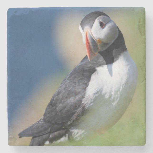 Atlantic Puffin (Fratercula Arctica) On Cliff 2 Stone Coaster (Front)