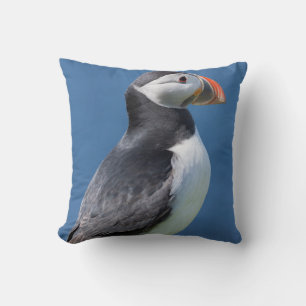 Atlantic Puffin (Fratercula Arctica) On Cliff Cushion
