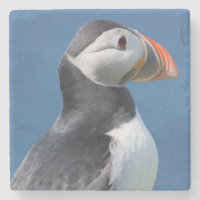 Atlantic Puffin (Fratercula Arctica) On Cliff