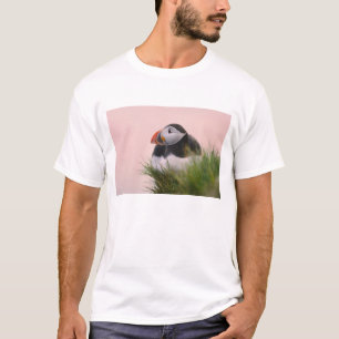 Atlantic Puffin (Fratercula arctica) T-Shirt