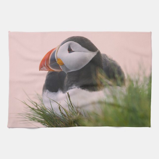 Atlantic Puffin (Fratercula arctica) Tea Towel (Horizontal)